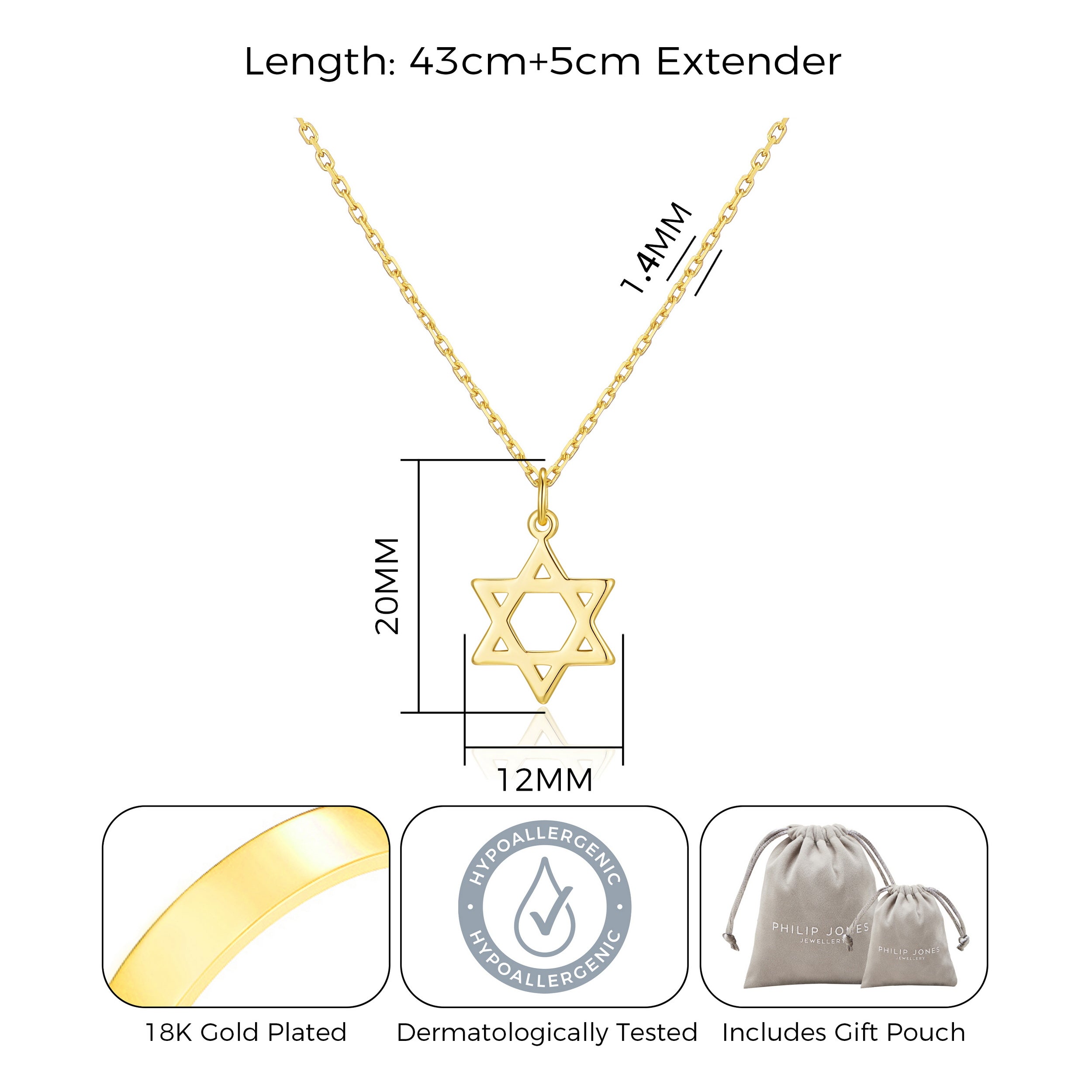 Gold Plated Star of David Necklace