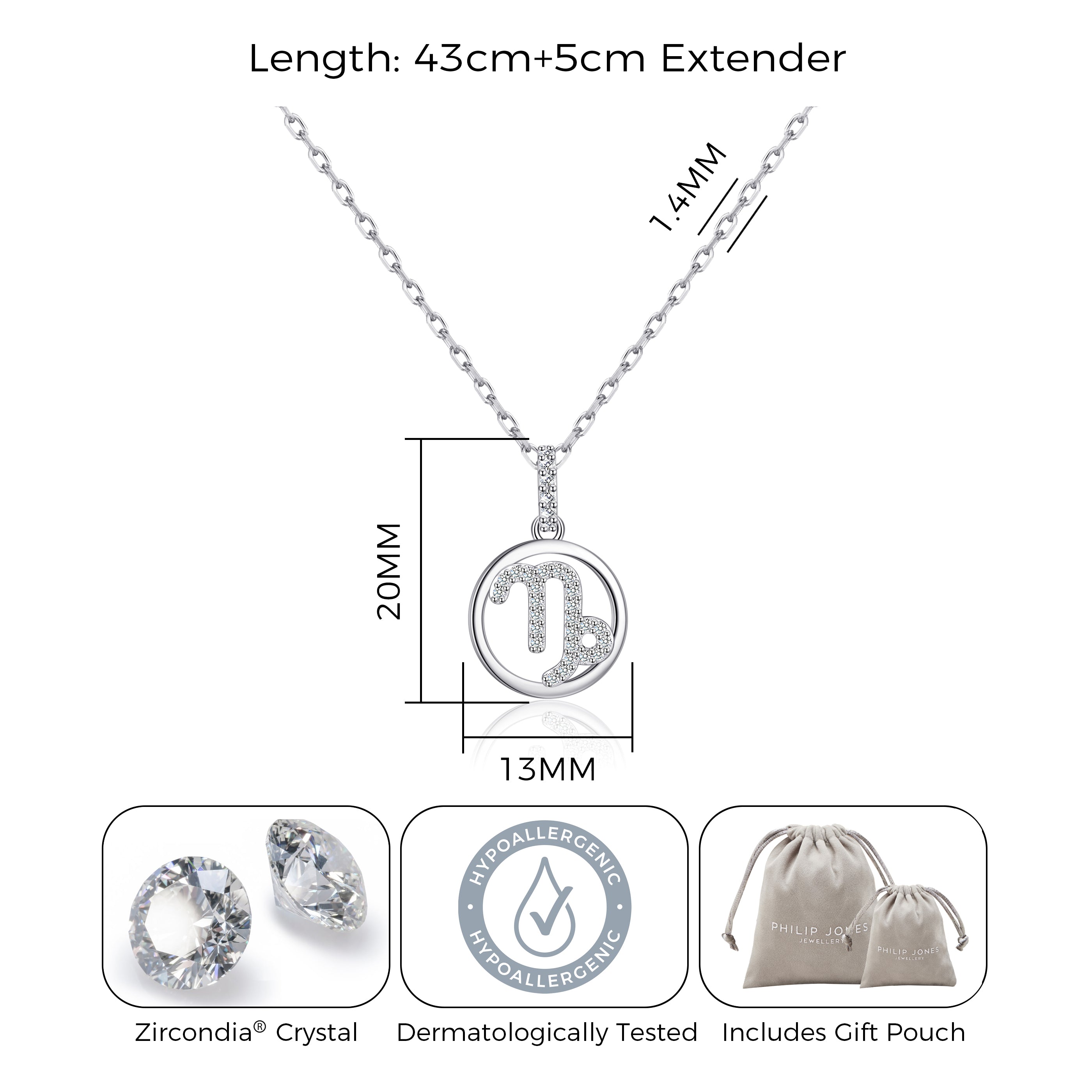 Capricorn Star Sign Zodiac Necklace and Quote Card with Zircondia® Crystals