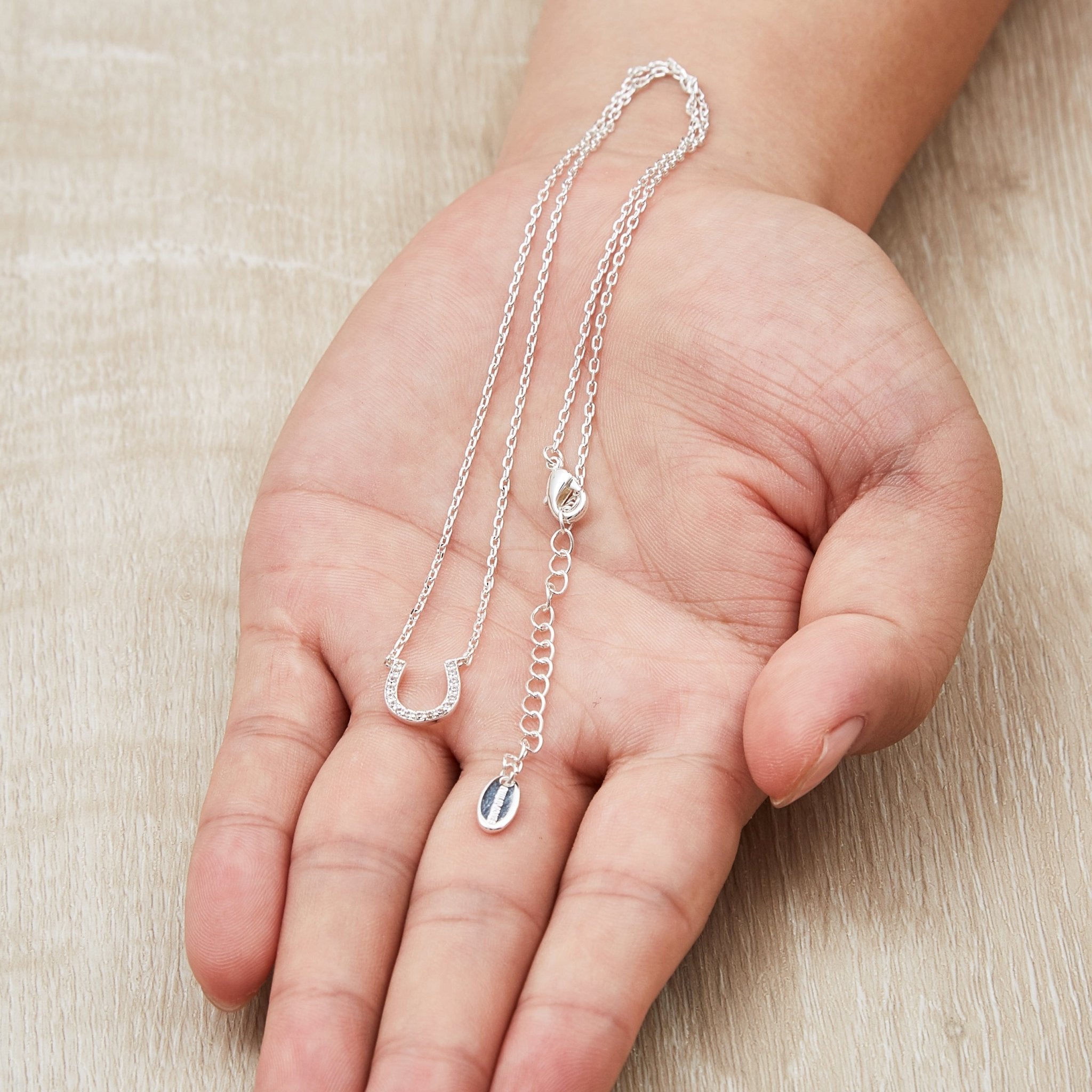 Horseshoe Necklace Created with Zircondia® Crystals - Philip Jones Jewellery