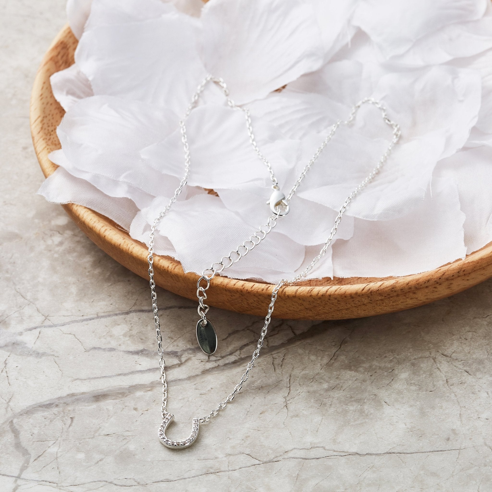 Horseshoe Necklace Created with Zircondia® Crystals - Philip Jones Jewellery