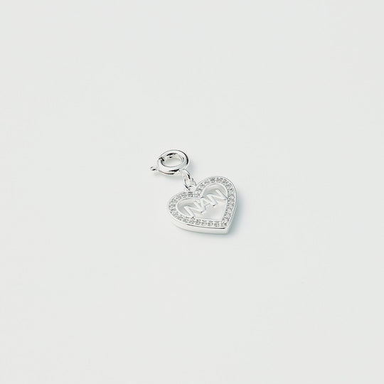 Clip on Family and Birthday Charms Created with Zircondia® Crystals