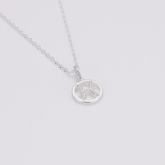 Pisces Star Sign Zodiac Necklace with Zircondia® Crystals