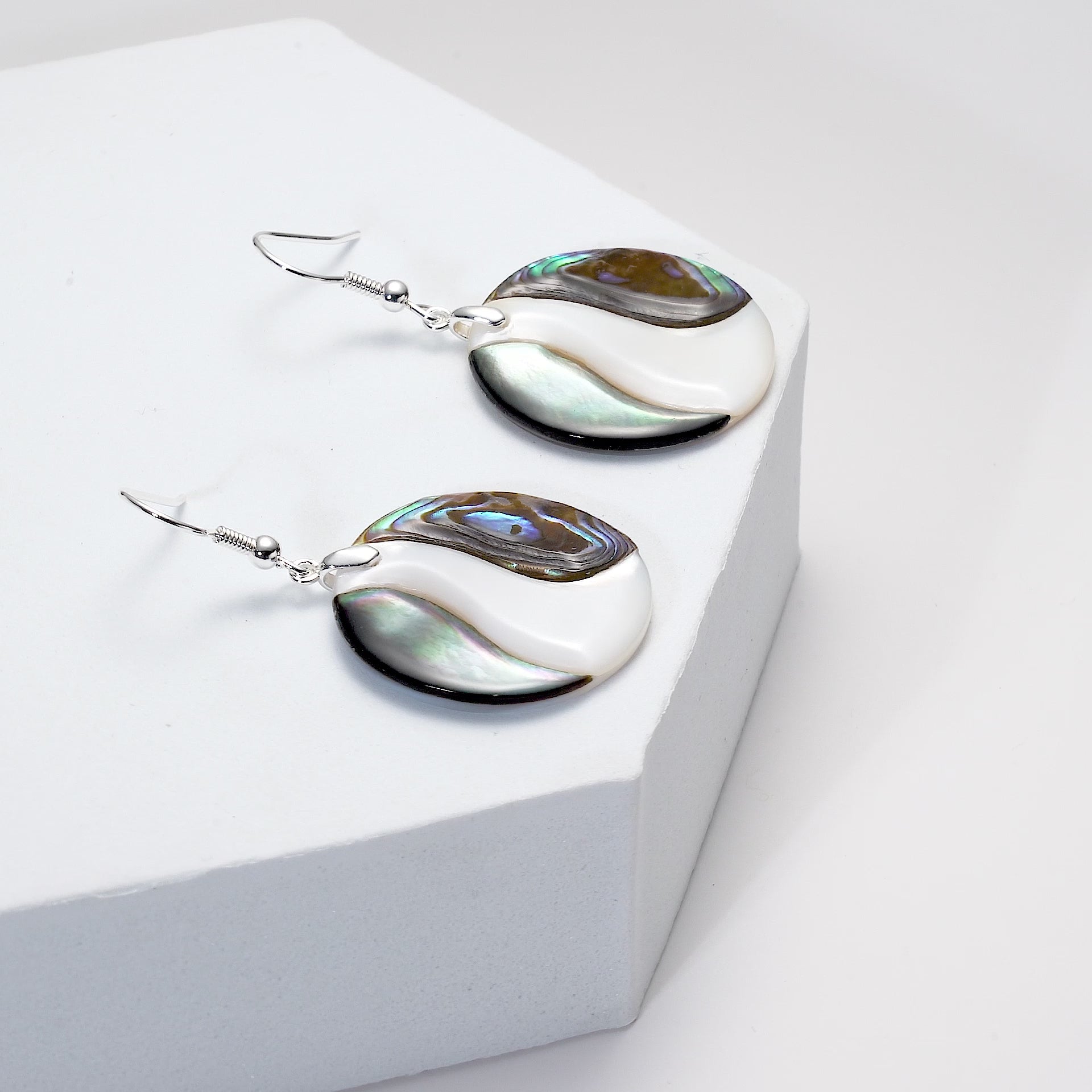 Abalone Shell Round Drop Earrings