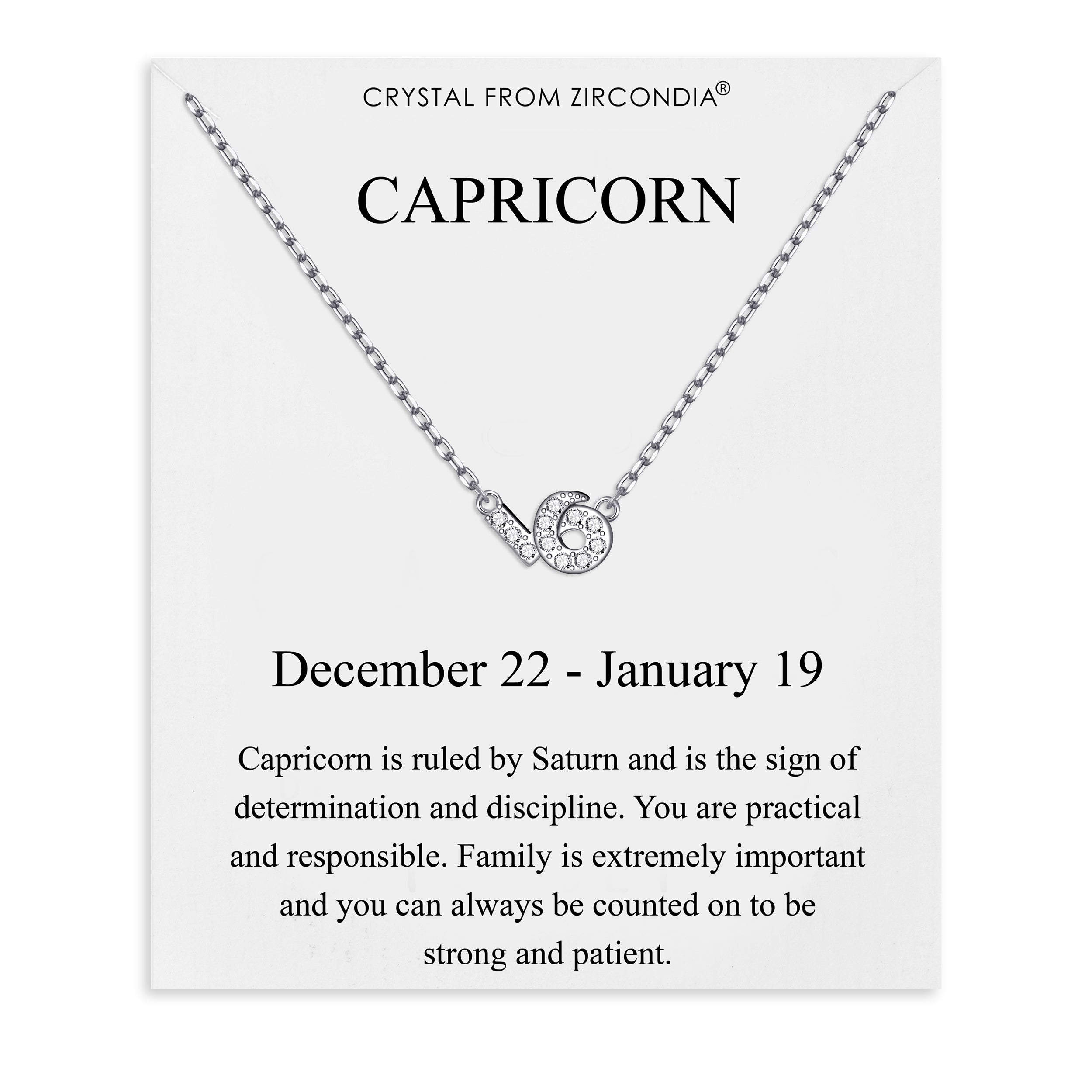Capricorn Zodiac Star Sign Necklace Created with Zircondia® Crystals
