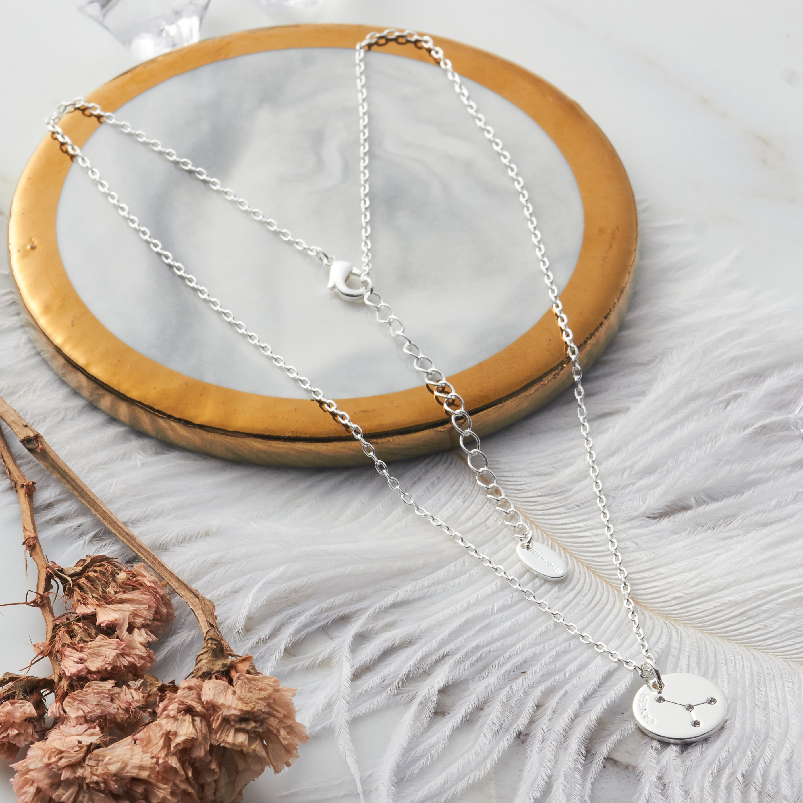 Cancer Zodiac Star Sign Disc Necklace Created with Zircondia® Crystals
