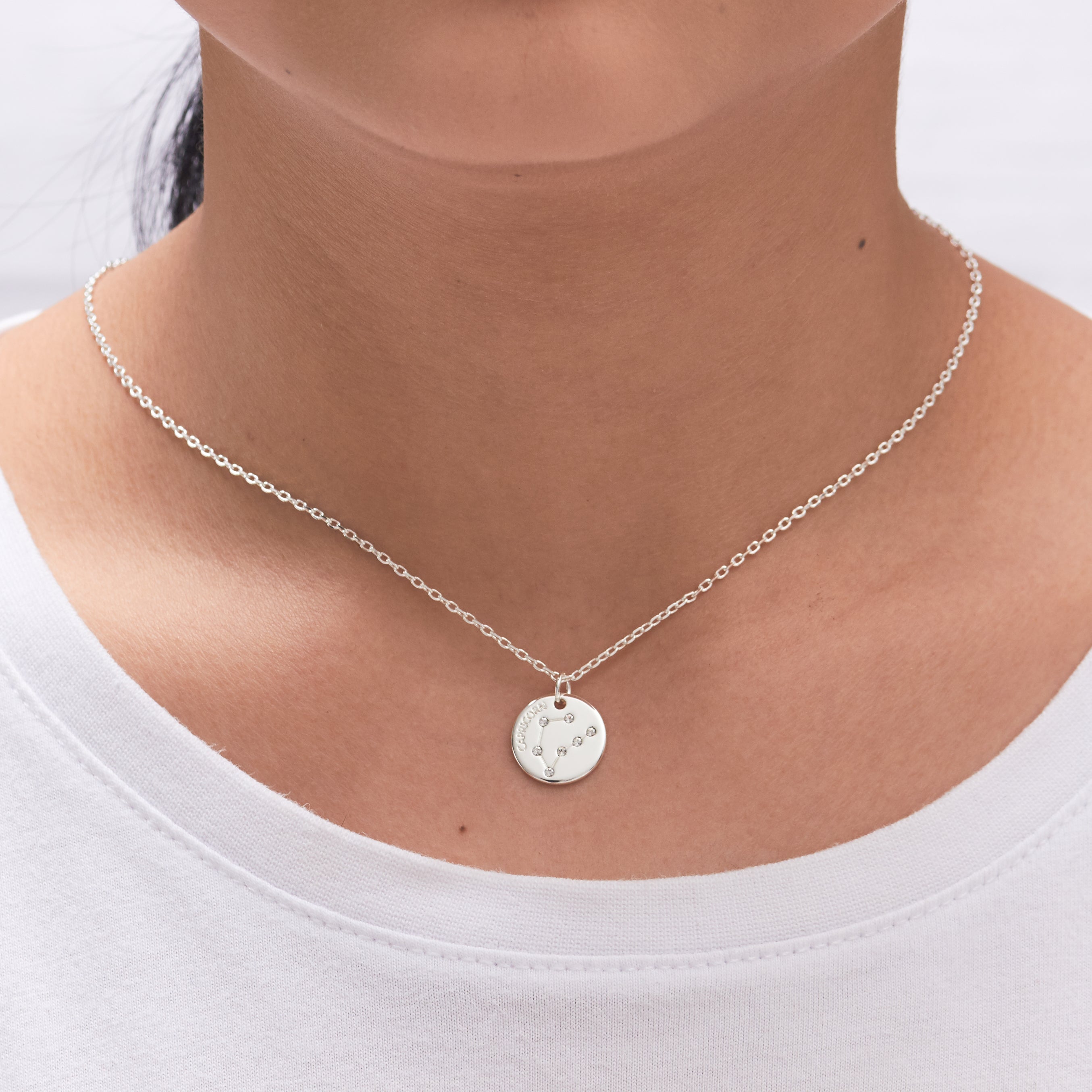 Capricorn Zodiac Star Sign Disc Necklace Created with Zircondia® Crystals