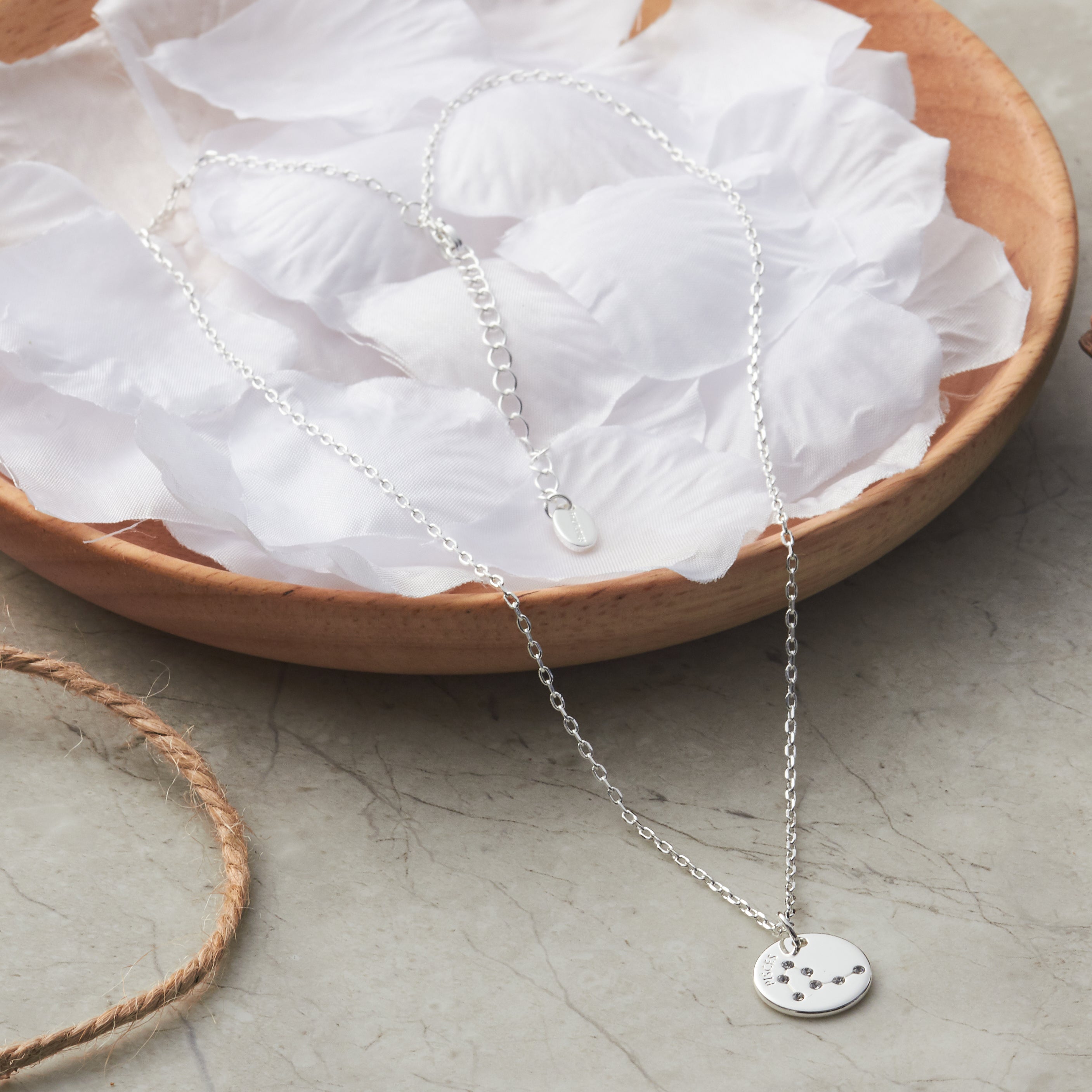 Pisces Zodiac Star Sign Disc Necklace Created with Zircondia® Crystals
